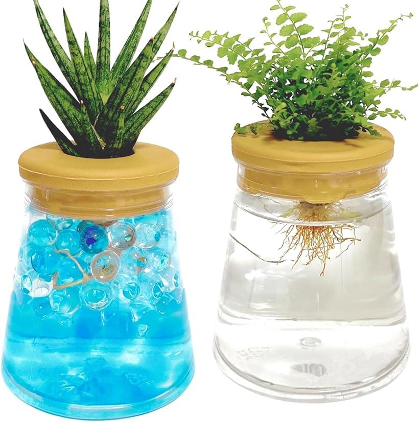 ハイドロカルチャー 水耕栽培 観葉植物 育成キット スポンジ付 透明 プラスチック ポット SW2494 フラスコ型2セット