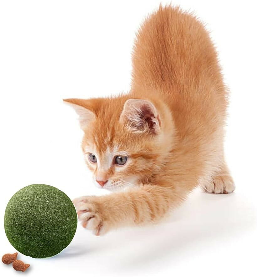 【楽天ランキング1位入賞】またたびボール 猫 キャットニップ またたび玉 マタタビ 玩具 おもちゃ 特大 10cm 一人遊び ストレス解消 口臭予防 3