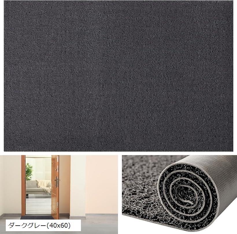 玄関マット 無地 屋内 屋外 ループ状 泥落とし 滑り止め付 SW2315ダークグレー 40x60 ライトグレー 40x60 ライトブラウン 60x90 ライトベージュ ダークグレー(40x60)