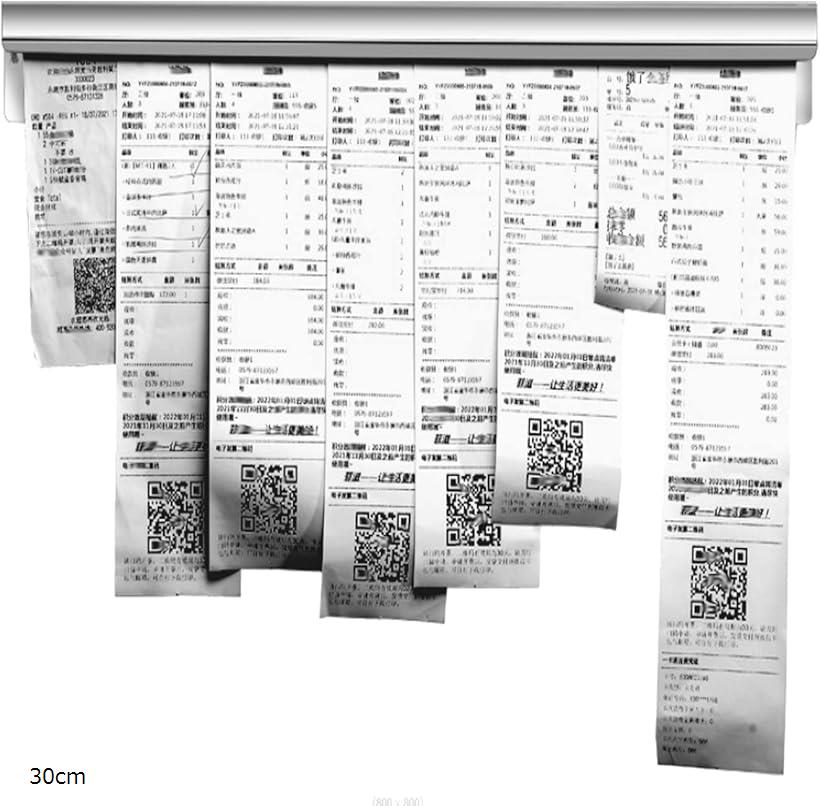 【楽天ランキング1位入賞】オーダークリッパー オーダーホルダー 30cm