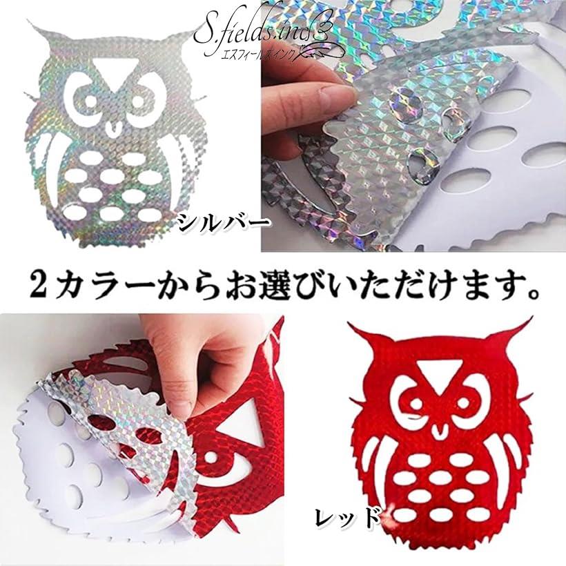 Ļ�褱���ƥå��� �ե����� 10�祻�å� ȿ�ͥ����� �륬�饹 ȷ�褱 �٥��� �� ���饹 ��å�