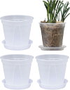 スリット鉢 透明 プラスチック 底皿付き 4個セット 観葉植物