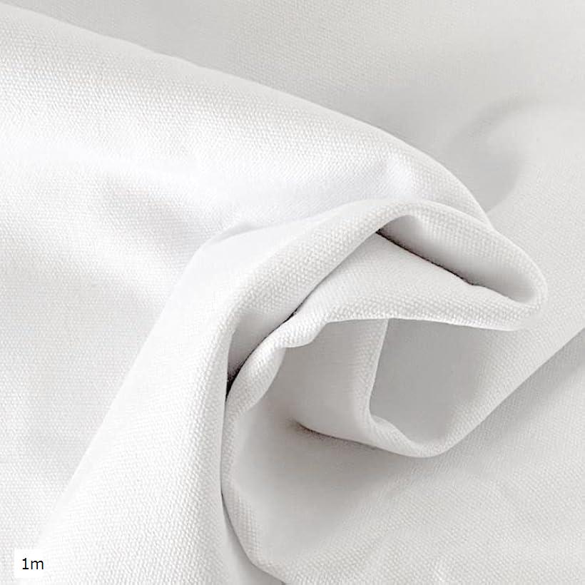 11号 綿100％ 帆布 生地 幅約145cm コットン キャンバス オフホワイト・ 2m オフホワイト・2m 1m