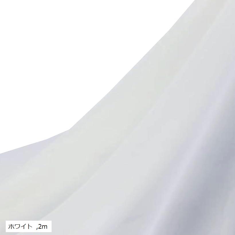 ストレッチ シフォン 生地 100D 1way 幅150cm 伸縮性少 透ける 無地 布 ブルー パープル ブラック レッド グリーン イエロー ライトブルー ベージュ オレンジ ホワイト 2m