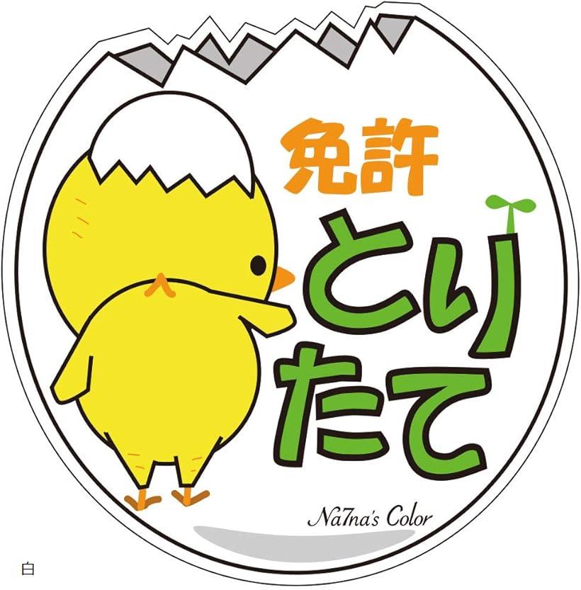 車 マグネット ステッカー 免許とりたて 初心者マーク 耐水 UVカット 14.8cm 白