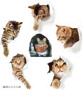 猫 ウォールステッカー ネコグッズ シール 装飾 立体 雑貨 猫5匹+ネズミ1匹