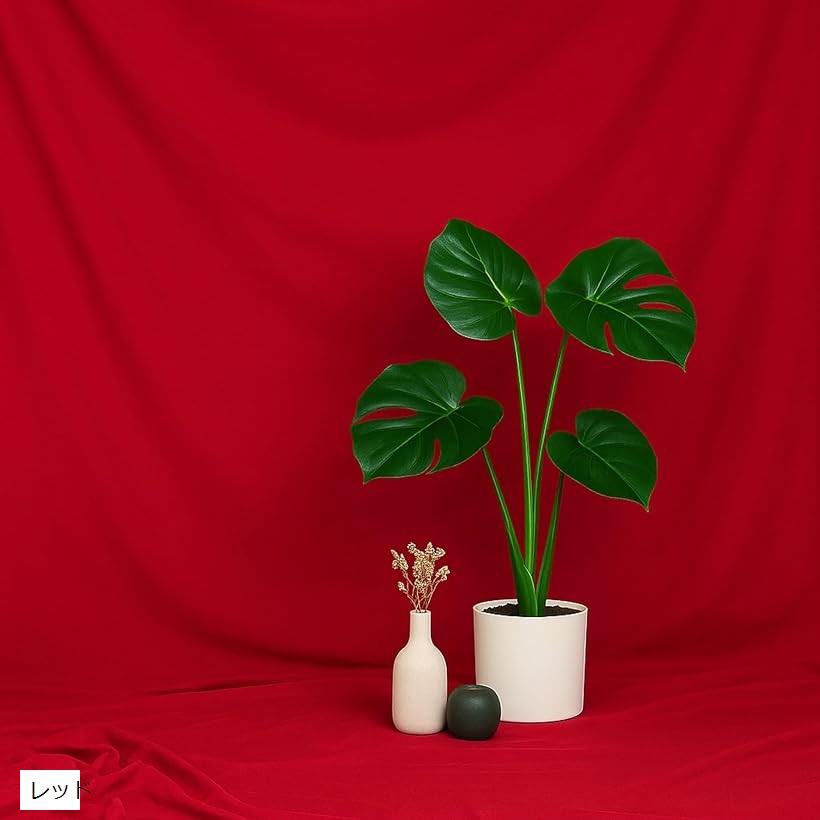 背景布 3mx10m 超大型 一枚布 無地 バックスクリーン スタジオ 撮影 装飾 多用途 超特大 折り畳み レッド