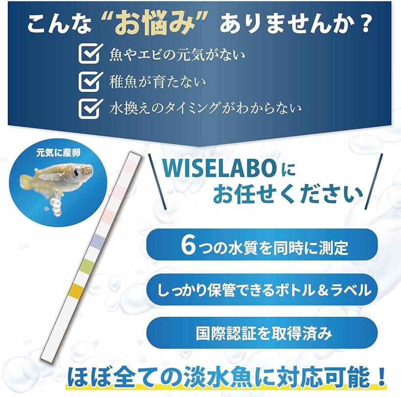 �������ꥦ�� ����ƥ��� 6in1 150��ʬ ������� ���å� ���� ��� ����� ��� Ǯ�ӵ� ø�������߷� �磻�����