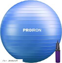 バランスボール 65cm ハンドポンプ付き パープル レッド 48-55cm/S 68-75cm/ L アイスクリーム・ブルー ダークパープル ライトグリーン ブラック グレー ブルー 58-65cm/M