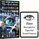 RISE iPad ガラスフィルム アンチグレア 保護フィルム
