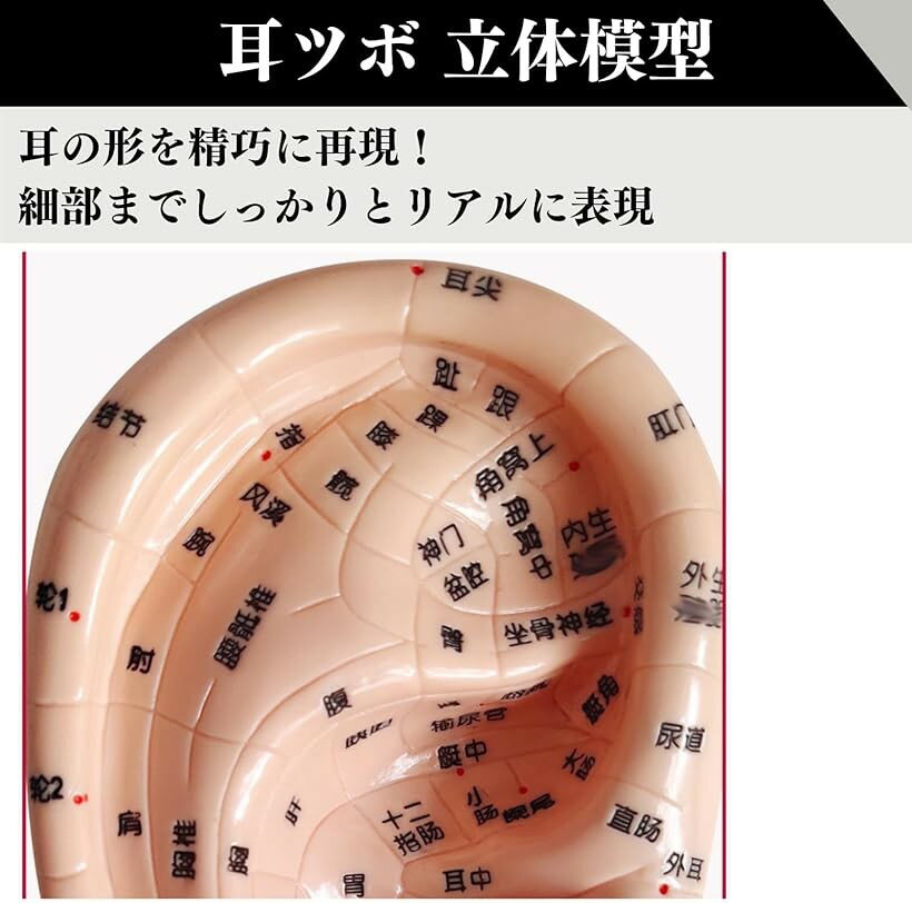 �ڳ�ŷ��󥭥�1�����ޡۼ��ĥ� �Ϸ� Ω���Ϸ� ���ĥ��Ϸ� ���Ĥܥ����� 17cm ���Ĥ��Ϸ� ���Ĥܥ��奨�꡼ �ޥå�������Ƽ�����ԥ󥻥å� �ʤ� ��° �ޥå�������Ƽ�� �ʤ�