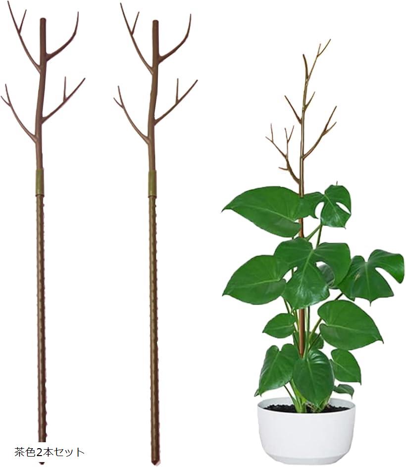 支柱 観葉植物 園芸 2本セット 添え木 支え イボ竹 観葉植物の支柱 モンステラ パキラ ポトス 細い ジ..