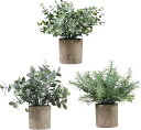 フェイクグリーン 観葉植物 ミニ 鉢植え インテリア 室内 卓上 おしゃれ 飾り ギフト 3個セット