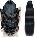 人毛 シールエクステ TAPE hair レミーエクステ カラー ウィッグ エクステンション 10本 16inch 40cm