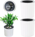互換品 給水プランター 自動給水プランター 不在時の水やり 給水器 植木鉢 留守 旅行 植物を枯らさない 園芸 観葉植物