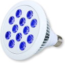 LED 電球 スポットライト 24W 2Wx12灯 水槽 照明 E26 電気 サンゴ 熱帯魚 観賞魚 植物育成