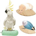 爪とぎ ステップ とまり木 スタンド インコ ハムスター 小鳥 モモンガ セット