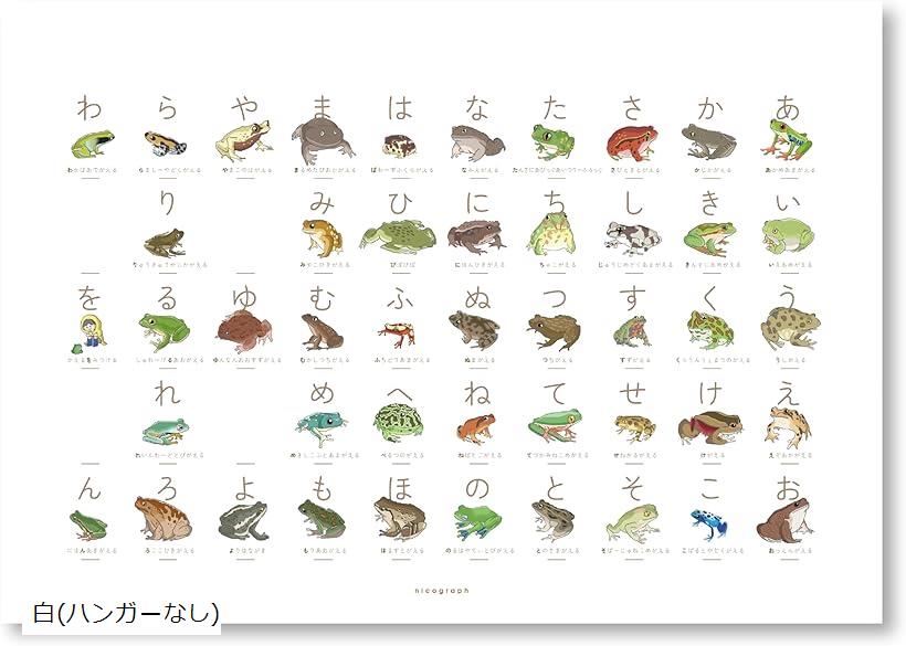 カエルのあいうえお 蛙のひらがな表 マグネットハンガーなし A3サイズ 50音表 こだわりあいうえお 図鑑 かえる ミヤコヒキガエル イエアメガエル ソバージュネコメガエル カエル博士 白(ハンガーなし)