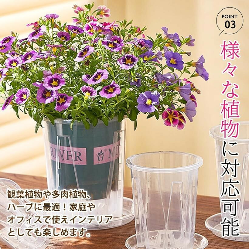 �ڳ�ŷ��󥭥�1�����ޡۿ���ȭ Ʃ�� �컮�դ� ����å�ȭ ���տ�ʪ �ץ饹���å� �ץ�ȭ 5�ĥ��å� 10cm 12cm 10cm 5�ĥ��å�