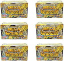 宝物発見シリーズ MEGA秘宝伝説 TKZ-20-01 6個セット(3)
