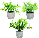 フェイクグリーン 人工観葉植物 ミニ 鉢植え 3点セット 卓上用 インテリア雑貨(3)