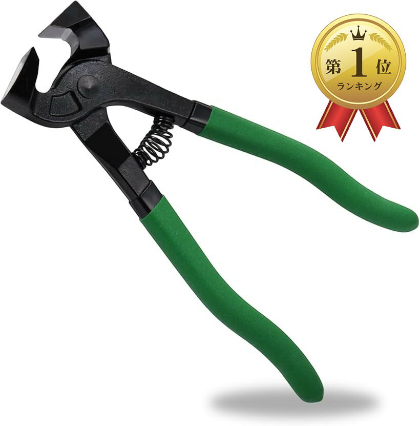 藤原産業 チスタガネ 10MM 1