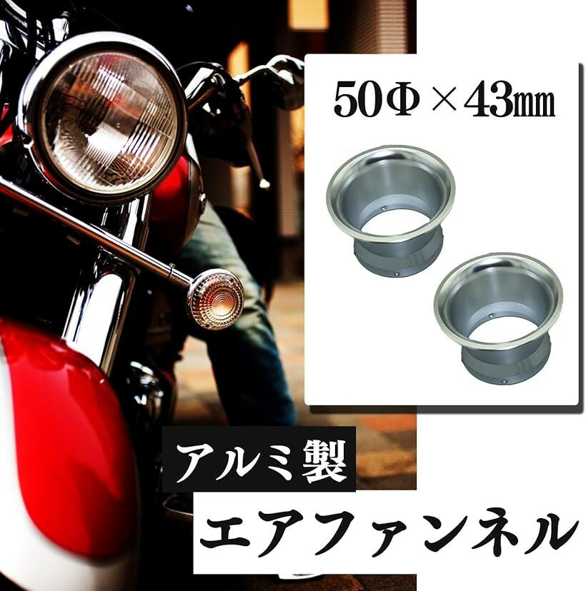 �����ͥå� ����� �� ���� �ե���ͥ� 50��x43mm �ե��륿�� ����֥졼���� SN-236-AEF �ġ��� ���� �俧 2 �⿧ 4 �俧 �⿧��2