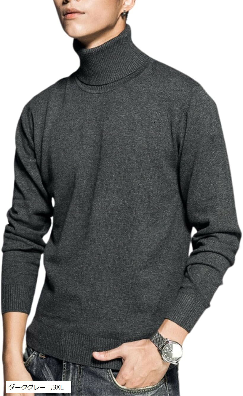 タートルネック メンズ セーター ニット ハイネック インナー 秋 冬 ニットセーター 長袖 トップス 薄手 シンプル 無地 ハイカラー カジュアル ビジネス 冬服 防寒 おしゃれ ダークグレー 3XL