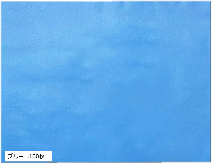 ピローシート 薄手 100枚セット 使い捨て 不織布 マッサージ エステサロン用 業務用 ホワイト-穴無し50x70cm ホワイト ブルー 100枚