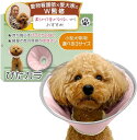 エリザベスカラー ぴたカラ獣医師xトイプー2匹の愛犬家監修小型犬専用x軽量で音がしないモデルxソフトタイプx術後のケア用品