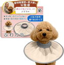 エリザベスカラー ふわカラ獣医師xトイプー2匹の愛犬家監修小型犬専用x軽量で音がしないモデルxソフトタイプx術後のケア用品