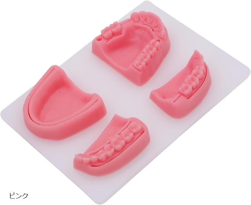 【楽天ランキング1位入賞】縫合練習キット 歯科 歯科縫合練習キット 経口縫合 縫合ツール 歯周縫合 ピンク