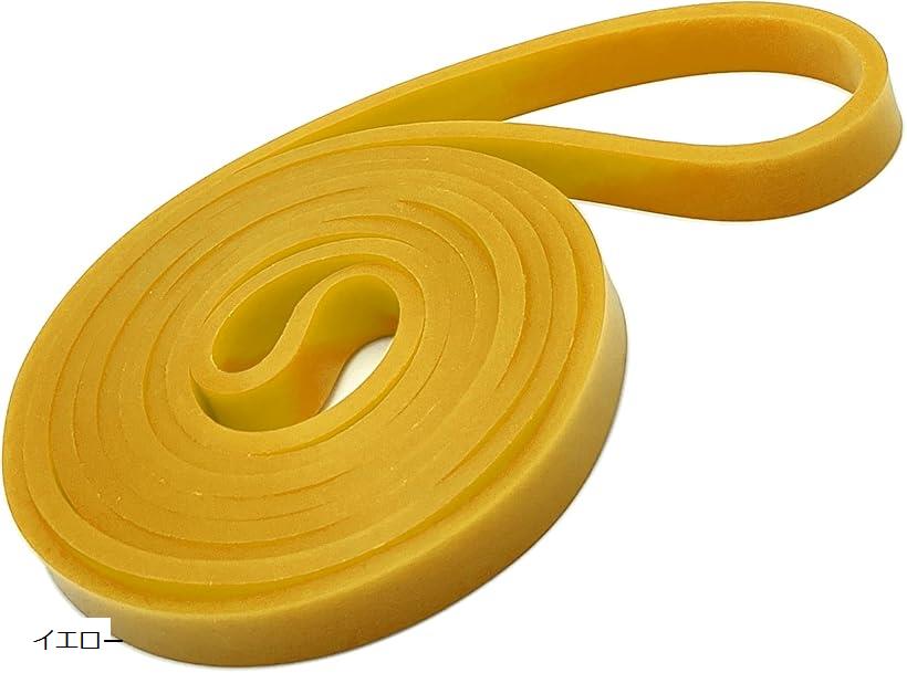 トレーナー プロ監修 トレーニングチューブ エクササイズバンド ストレッチ 筋力トレーニング リハビリ..