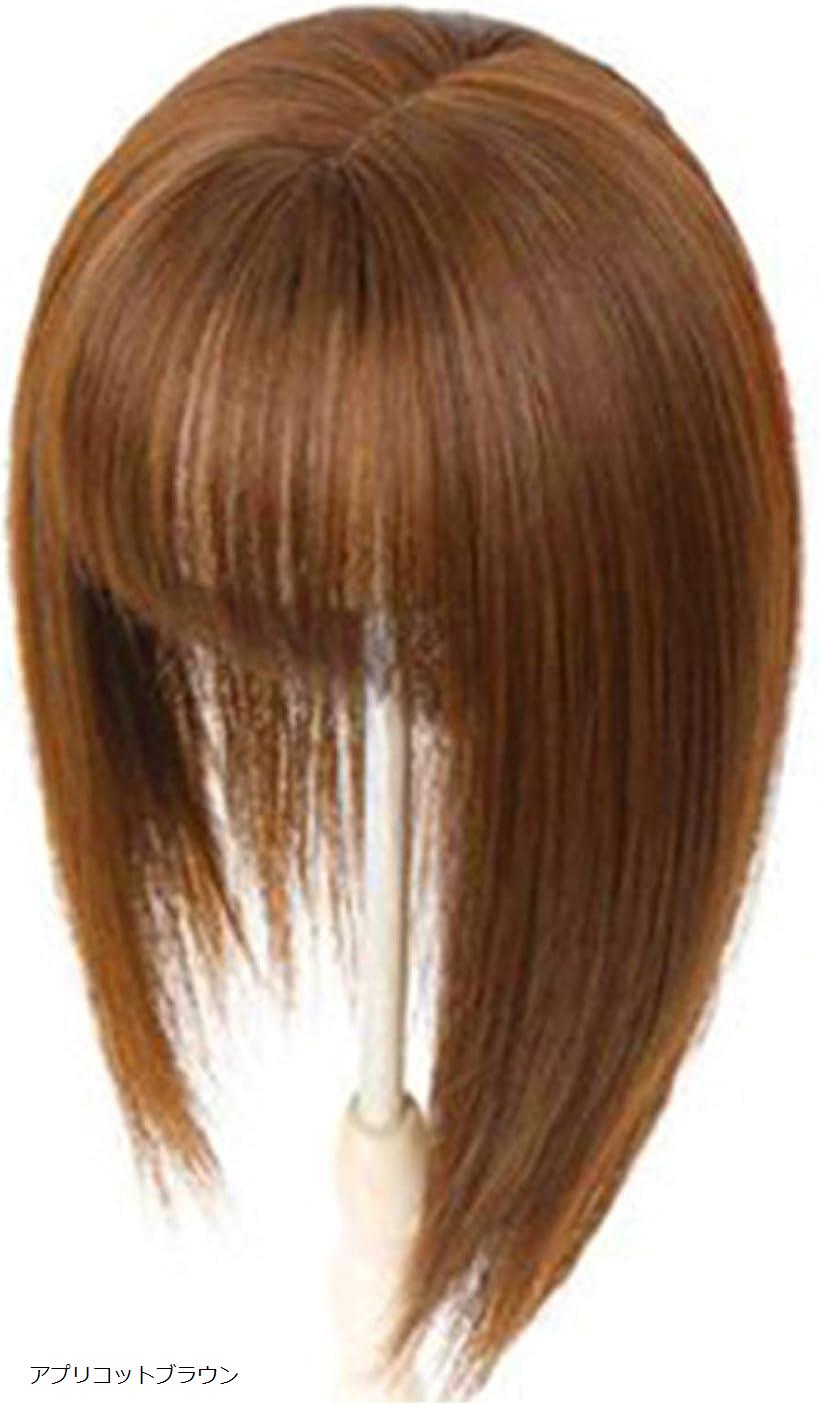 MONOSTORE 部分ウィッグ ポイントウィッグ セミロング 35cm コスプレ 女装 白髪隠し レディース かつら..