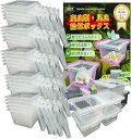 昆虫飼育ケース 小型 コンテナ ボックス 空気穴付き プラスチック製 小動物・卵 幼虫 繁殖