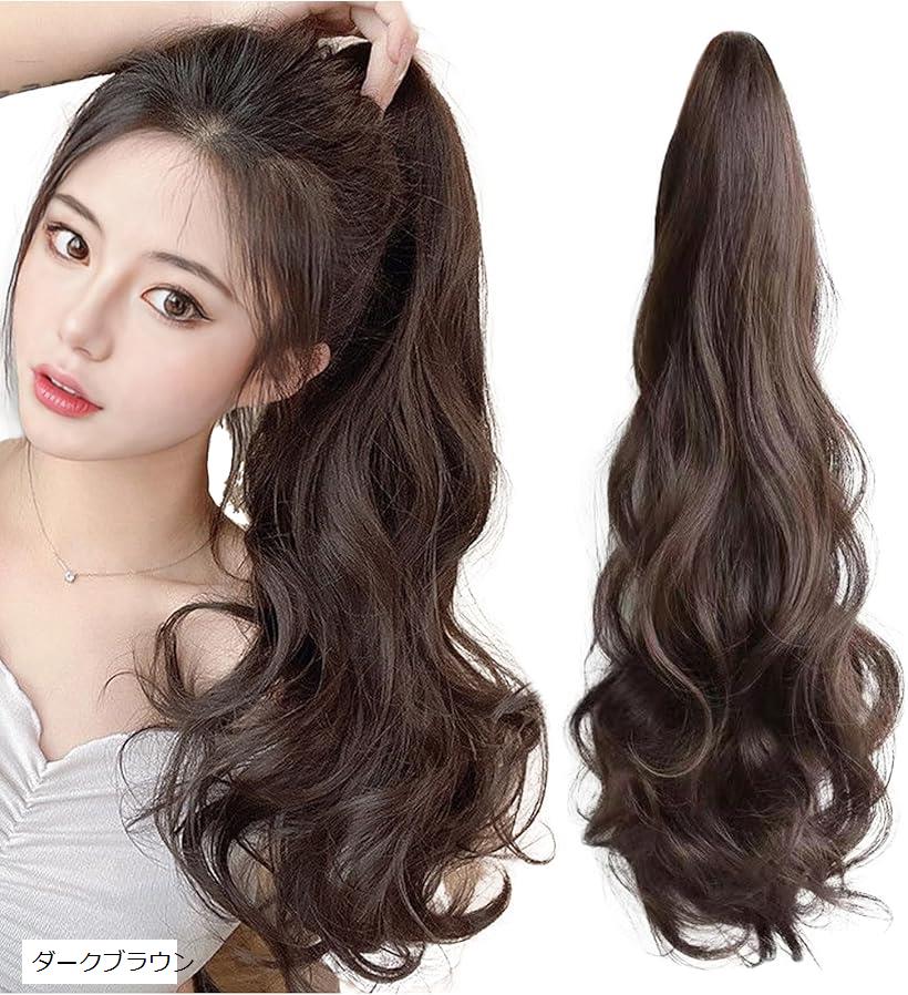 ポニーテール ウィッグ クリップ式 ポイントウィッグ かつら エクステ ロング 自然 上品 55cm ブラウンブラック ライトブラウン ナチュラルブラック ダークブラウン
