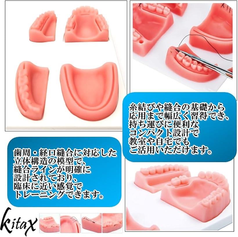 縫合練習キット 歯科 模型 4種セット 繰り返...の紹介画像3