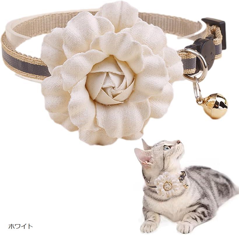 ǭ  դ  İ ե㡼 ڤ ڥå ͥ  ǭѼ Ĵǽ ԥ ֥å 졼 ѡץ ۥ磻