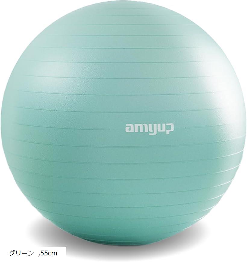 楽天市場】長友 バランスボールの通販