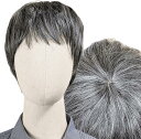 ウィッグ 白髪 白髪かつら 医療用 フルウィッグ ショート グレイヘア 高齢者 中高年 シニア ウルフ ボブ 耐熱 レディース 人工毛 ミセス つむじ シルバー 女装 自然 コスプレ 年配