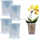 互換品 植木鉢 透明 受け皿付き スリット鉢 観葉植物 栽培上手に スタンド プラスチック プラ鉢 5個セット