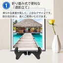 mlinestore:10069073のサンプル画像3