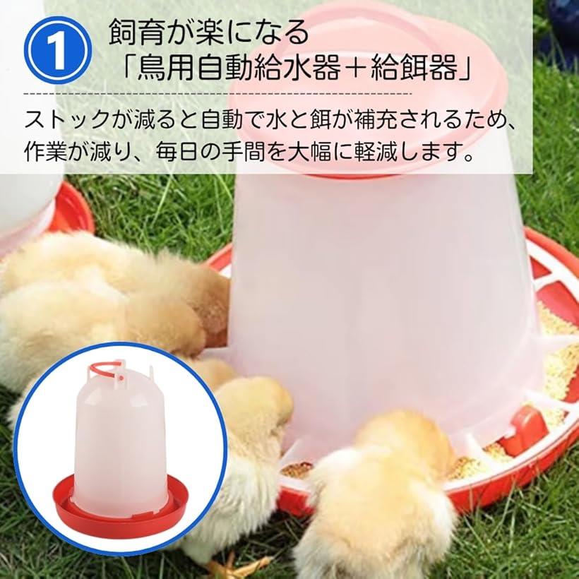 �ڳ�ŷ��󥭥�1�����ޡ�Ļ ��ư���� ��ư��´� ������ ������ �¤�� ���� �� �Ҥ褳 ������ 2�ĥ��å� 18cmx14cm