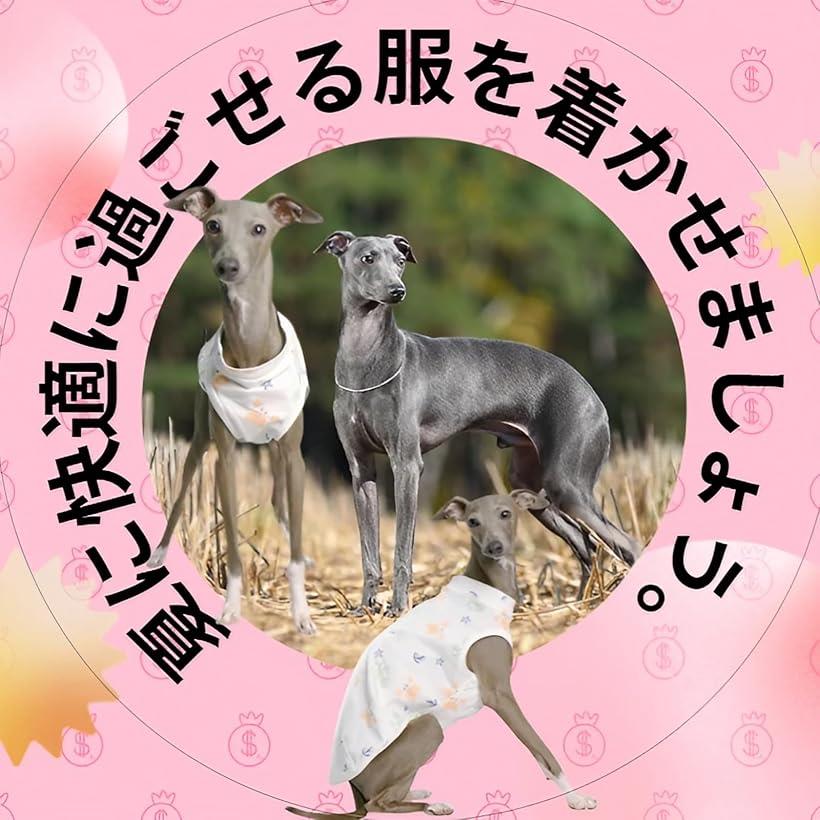 イタグレ服 春夏用 小型犬 中型犬 コットン ソフトタンクトップ M S L