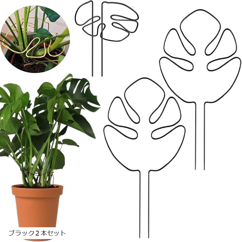 【楽天ランキング1位入賞】園芸支柱 モンステラ 観葉植物 植物サポート 植物倒れ防止 モンステラフラワ..