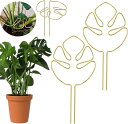 園芸支柱 モンステラ 観葉植物 植物サポート 植物倒れ防止 モンステラフラワースタンド 植物スタンド 鉢植え支柱 ガーデニング支柱 錆びにくい 2本セット