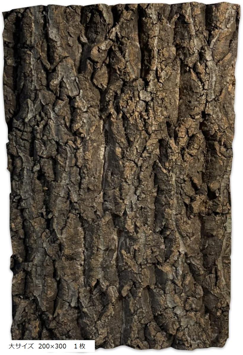 コルク樹皮 着生 エアプランツ チランジア バークチップ 爬虫類 観葉植物 本物 ヘゴ板 中サイズ 150x20..