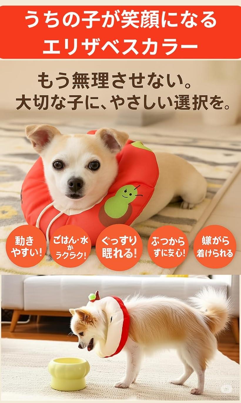 ���ꥶ�٥����顼 �� ǭ ������� ��Ѹ奱�� �����ߤ� ���Ӥ��ɻ� �ڥåȽ����ݸ�� �ɿ��� �İ��� ���ͥ���� ���餫�� ���å���󥿥��� M L ��å� S