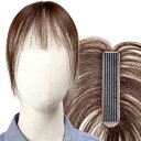 ピンなし ピンなし部分ウィッグ 頭頂部 白髪隠し ピン不要 リタッチ 分け目 人毛100% ヘアピース 女性用 手植え トップピース つけ毛 増毛 軽量 自然