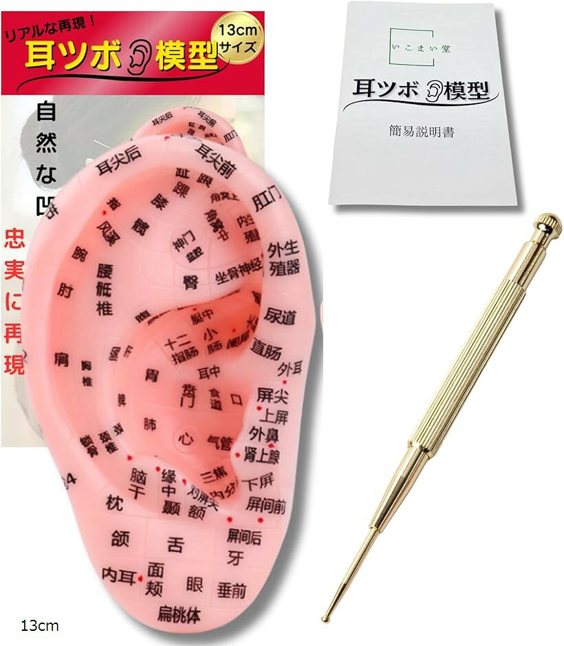 耳 模型 耳ツボ 耳つぼジュエリー 3点セット スティック 耳つぼシール 耳ツボシール セルフケア 13cm